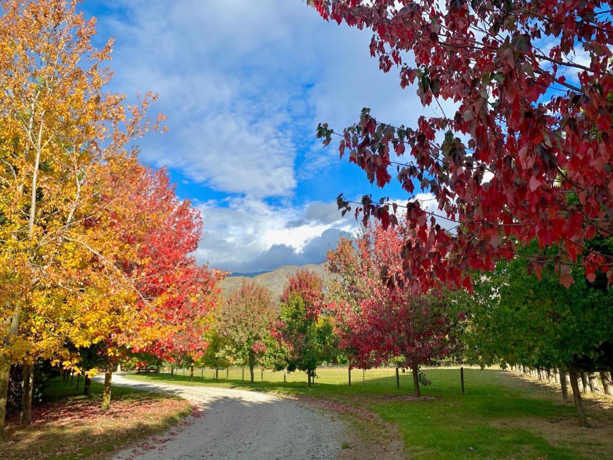 Queenstown Country Lodge Lake Hayes Luaran gambar