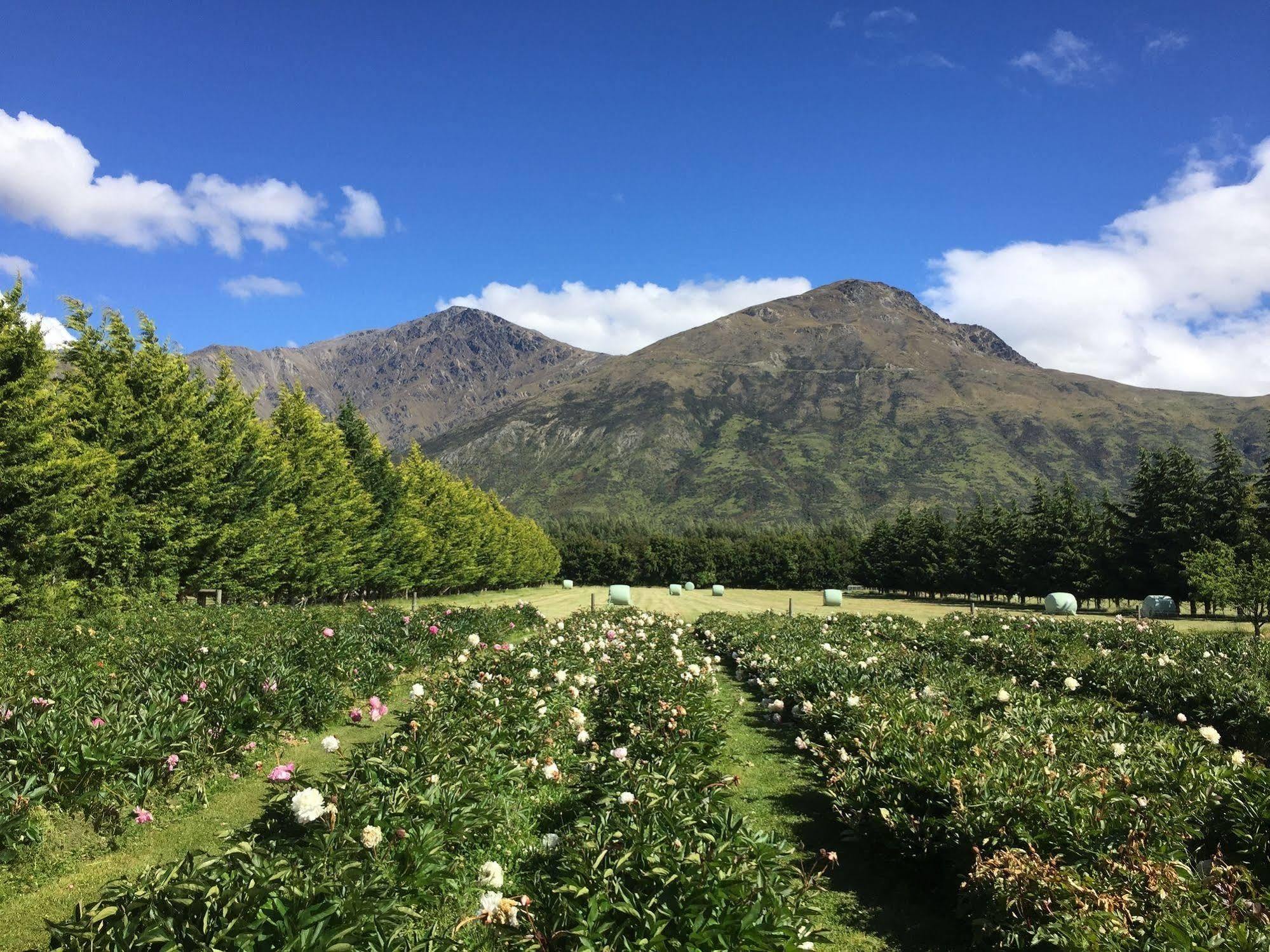 Queenstown Country Lodge Lake Hayes Luaran gambar